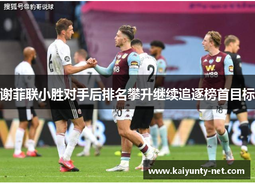 谢菲联小胜对手后排名攀升继续追逐榜首目标