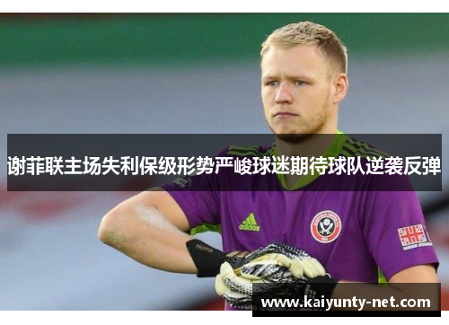 谢菲联主场失利保级形势严峻球迷期待球队逆袭反弹