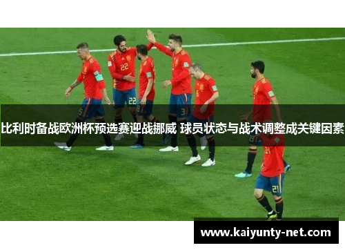 比利时备战欧洲杯预选赛迎战挪威 球员状态与战术调整成关键因素
