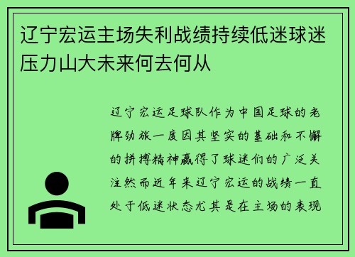 辽宁宏运主场失利战绩持续低迷球迷压力山大未来何去何从