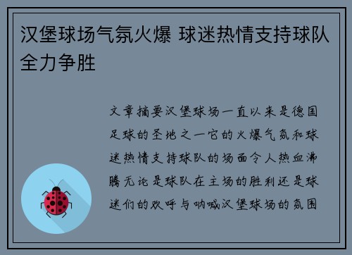 汉堡球场气氛火爆 球迷热情支持球队全力争胜