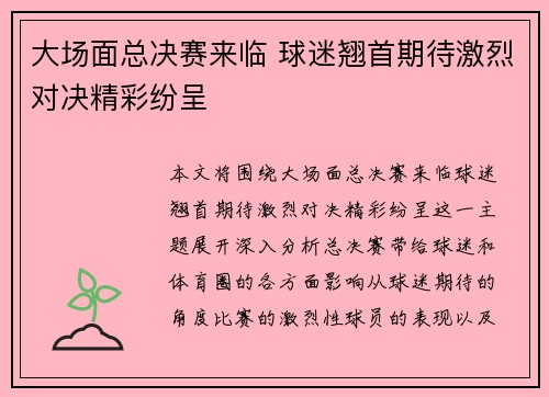 大场面总决赛来临 球迷翘首期待激烈对决精彩纷呈