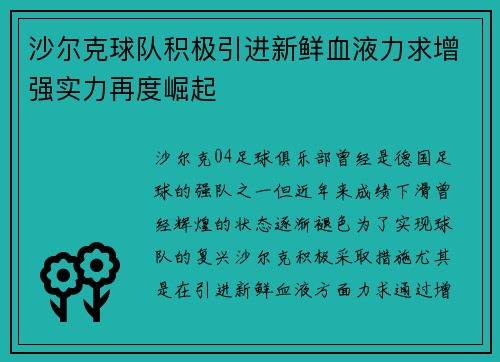 沙尔克球队积极引进新鲜血液力求增强实力再度崛起